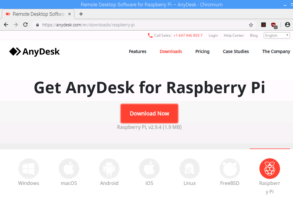 anydesk download for raspberry pi