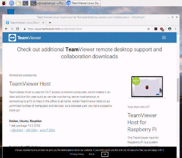 download teamviewer for raspberry pi 3